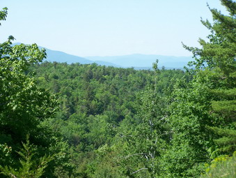 picture taken during a hike