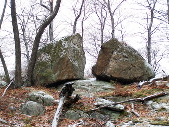 picture taken during a hike