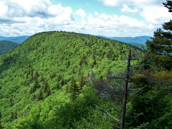 picture taken during a hike