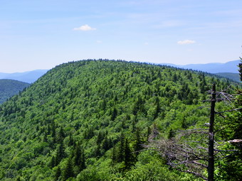 picture taken during a hike