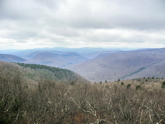 picture taken during a hike