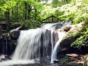 picture taken during a hike