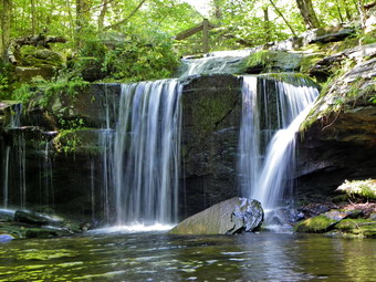 picture taken during a hike