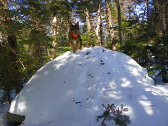 picture taken during a hike