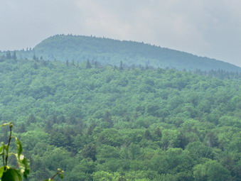 picture taken during a hike