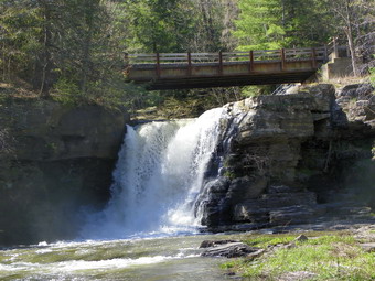 picture taken during a hike