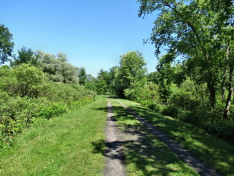 picture taken during a hike