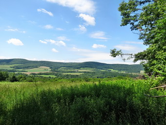 picture taken during a hike