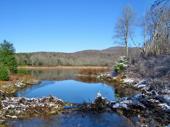 picture taken during a hike