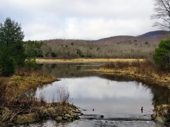 picture taken during a hike