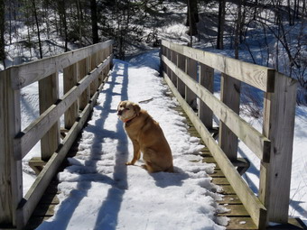 picture taken during a hike