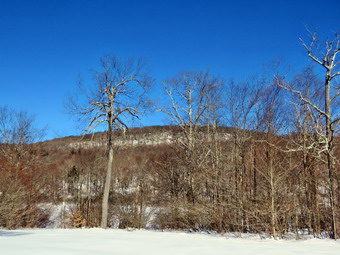 picture taken during a hike