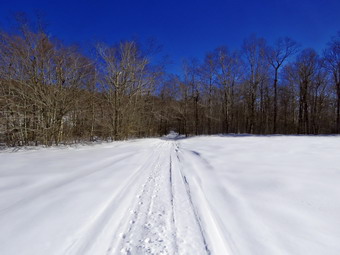 picture taken during a hike