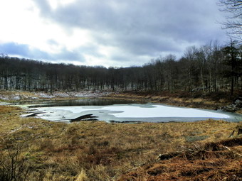 picture taken during a hike