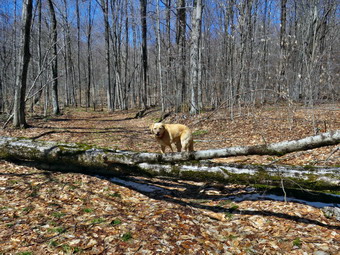 picture taken during a hike