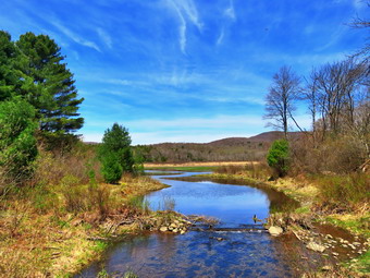 picture taken during a hike