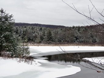 picture taken during a hike