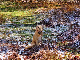 picture taken during a hike