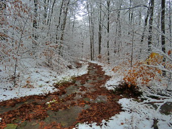 picture taken during a hike