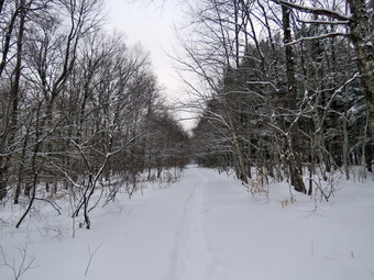 picture taken during a hike