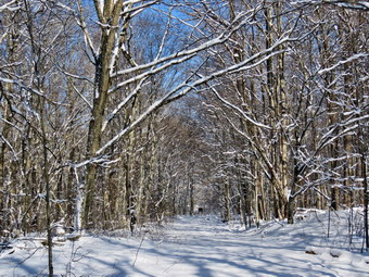 picture taken during a hike