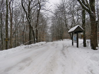 picture taken during a hike