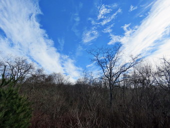 picture taken during a hike