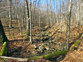 picture taken during a hike