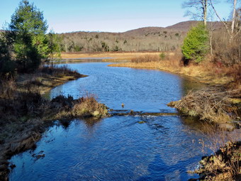 picture taken during a hike