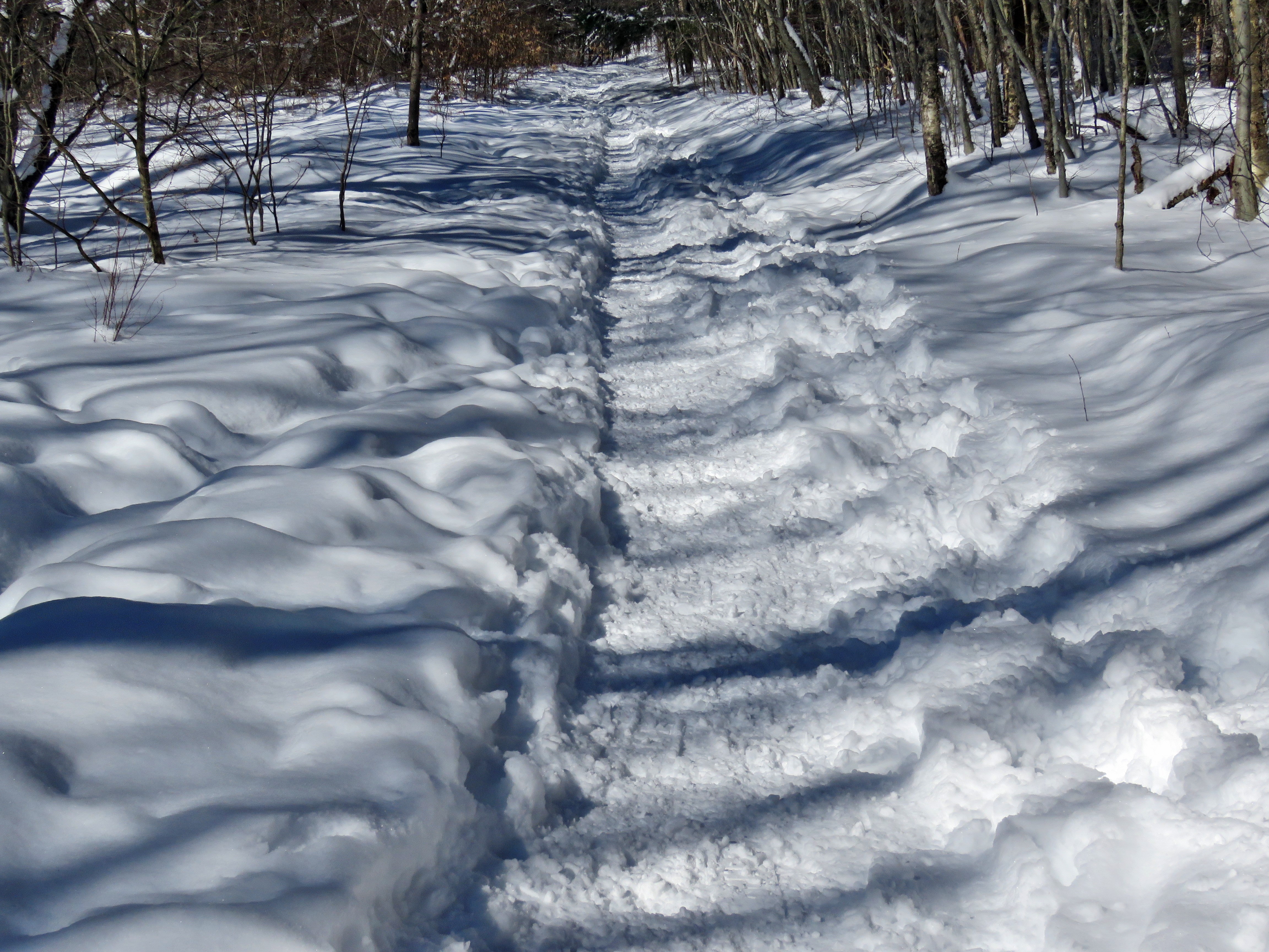 picture taken during a hike