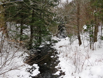 picture taken during a hike