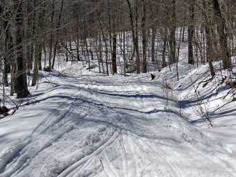 picture taken during a hike