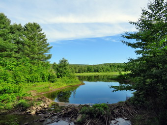 picture taken during a hike