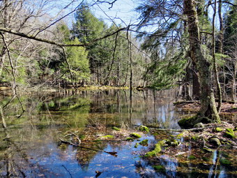 picture taken during a hike