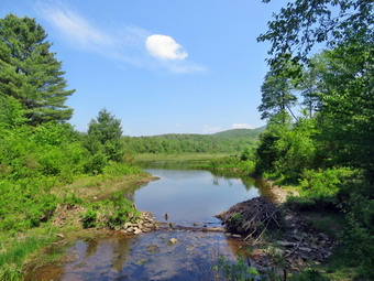 picture taken during a hike