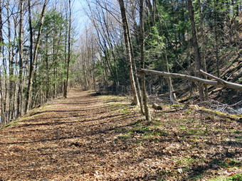 picture taken during a hike