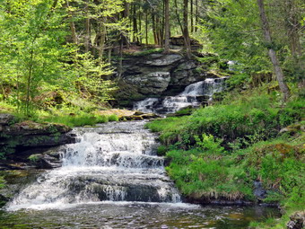 picture taken during a hike