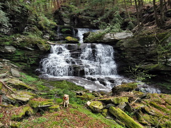 picture taken during a hike