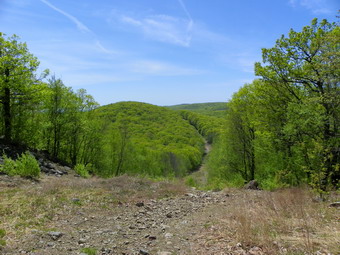 picture taken during a hike