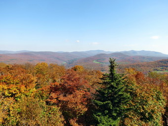 picture taken during a hike