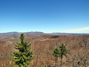 picture taken during a hike