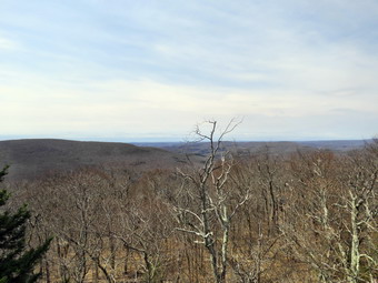 picture taken during a hike