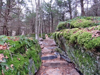 picture taken during a hike