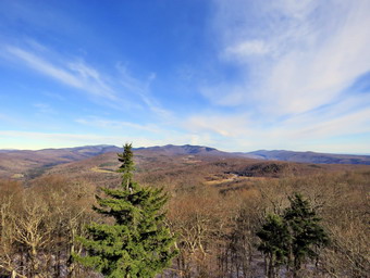 picture taken during a hike