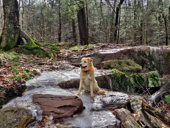 picture taken during a hike