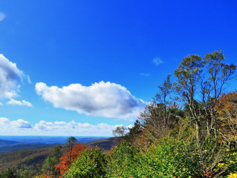 picture taken during a hike