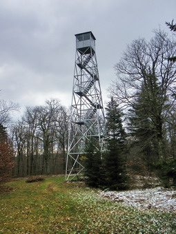 picture taken during a hike