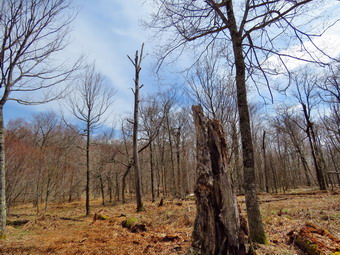 picture taken during a hike