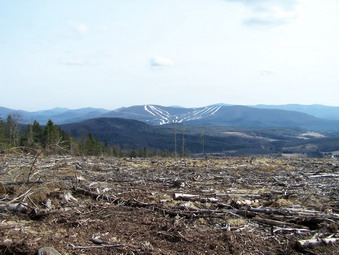 picture taken during a hike