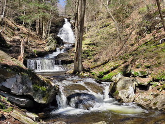 picture taken during a hike